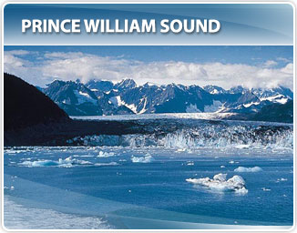 Prince William Sound Tours Valdez Prince William Sound Tours Valdez